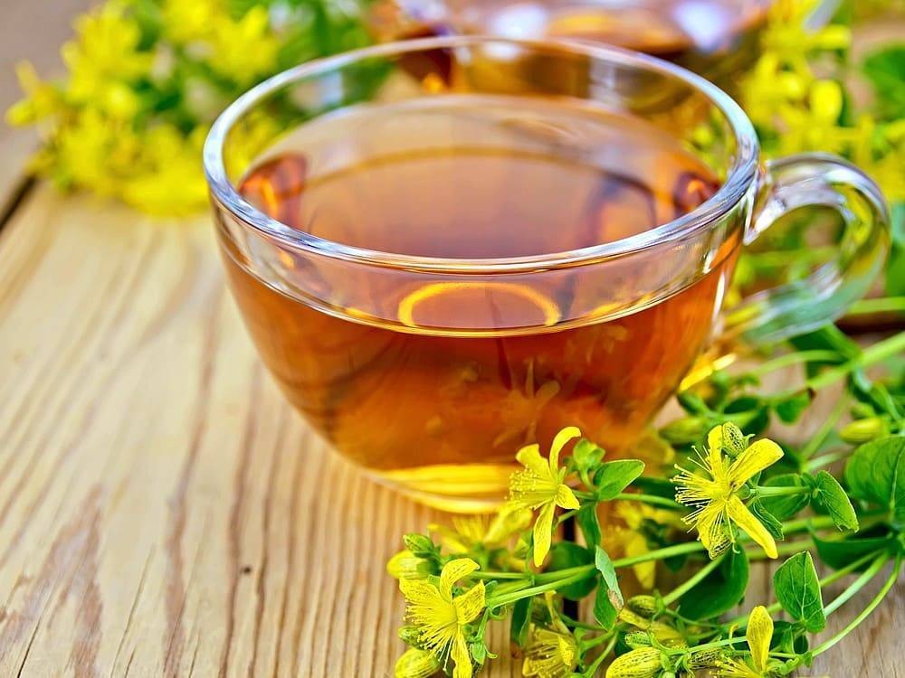 Как заварить зверобой для чая, польза и вред, как пить, травяные сборы