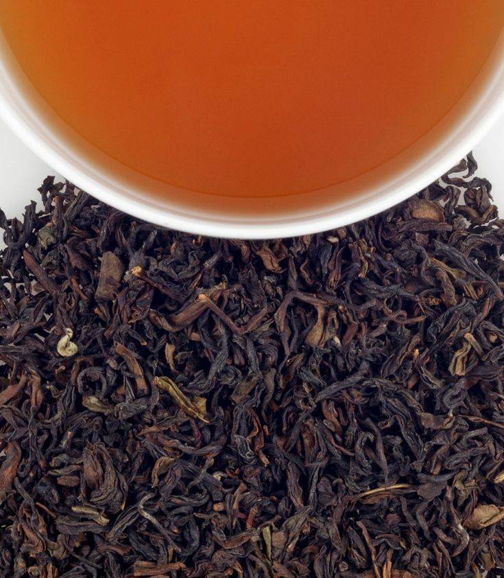Лапсанг сушонг: описание чая, как заваривать