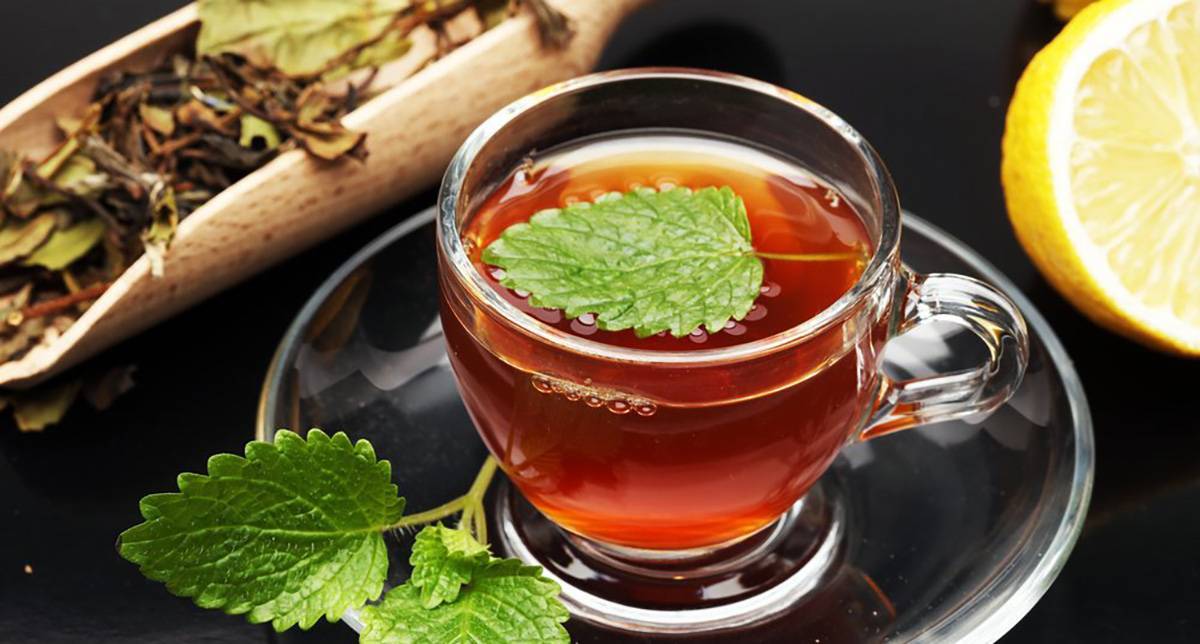 Чай с мелиссой рецепт с фото пошагово - 1000.menu