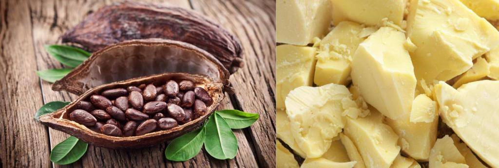 Применение масла какао от кашля: дозировка, рецепты