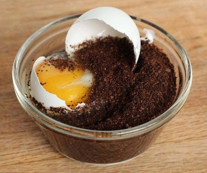 Кофе с яйцом: рецепты, как приготовить яичный напиток по-карельски