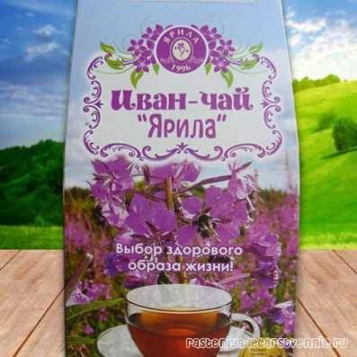 Иван-чай: полезные свойства для мужчин, рецепт копорского чая