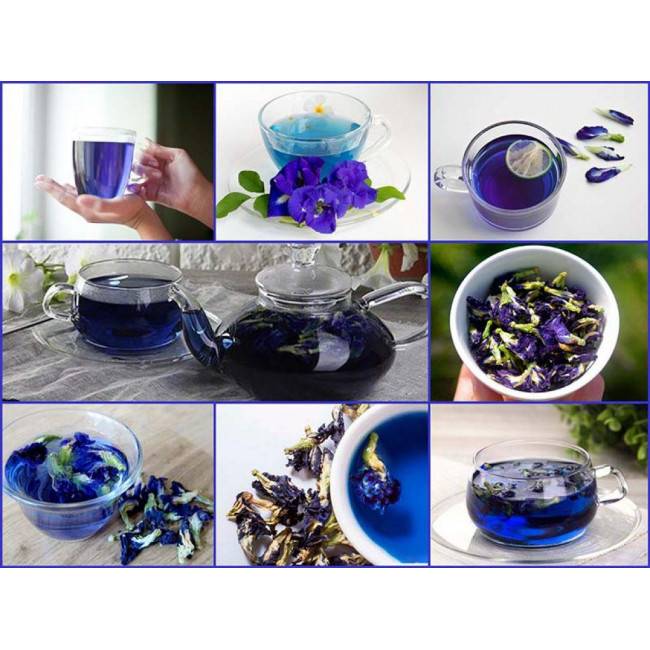 Пурпурный чай "чанг шу": описание, стоит ли пить, польза и вред