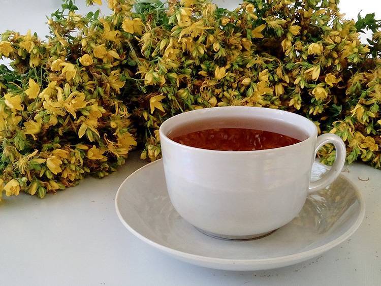 Травяной чай сенна для похудения и от запора: как заваривать и принимать