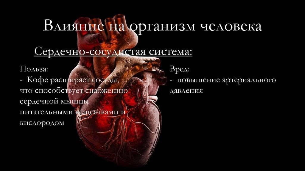 Диета №10 – при заболеваниях сердечно-сосудистой системы - здоровая россия