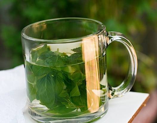 Чай с базиликом – польза и противопоказания, рецепты