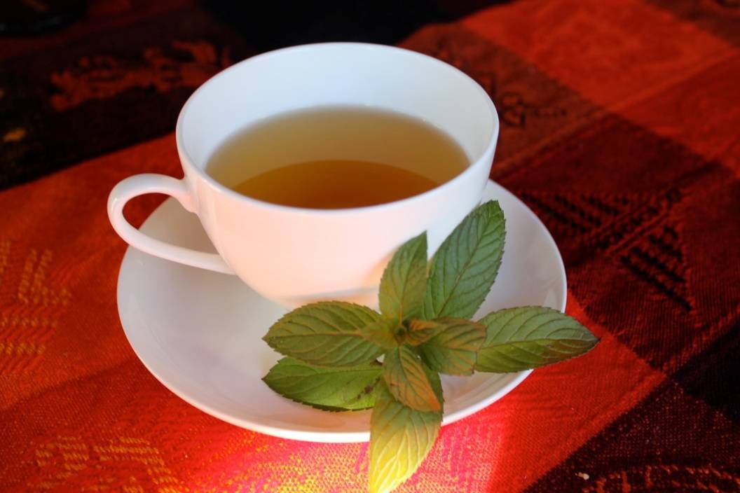 Польза и вред чая с шалфеем