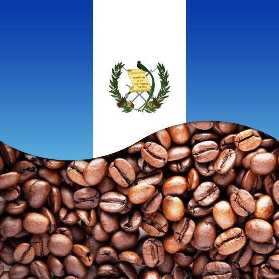 Что это за кофе, марагоджип? никарагуа, гватемала, колумбия, мексика – откуда лучше? от эксперта