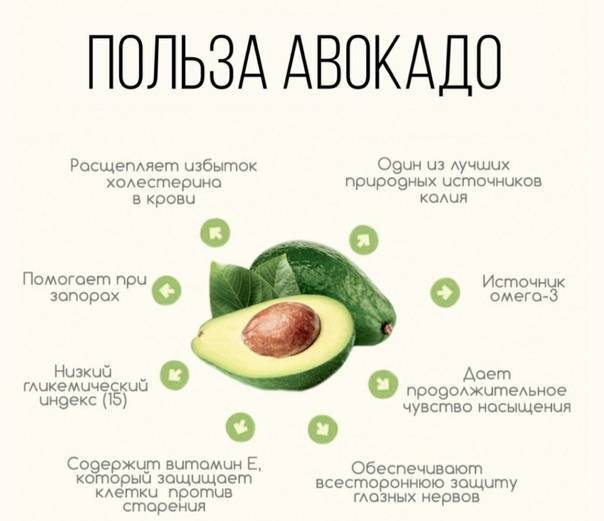 Авокадо — польза и вред для организма, состав, как чистить, готовить и хранить