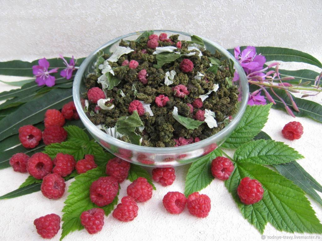 Чай из листьев малины: химический состав, применение, польза и вред