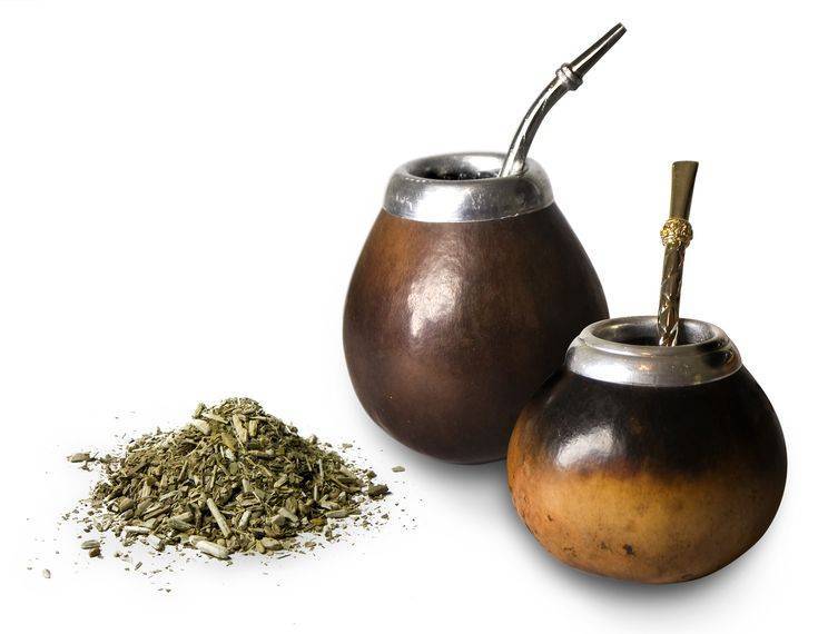 Чай мате (матэ): полезные свойства и противопоказания, как заваривать