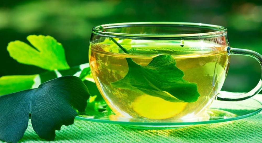 Чай гинкго билоба: польза и вред, как заваривать чай из листьев