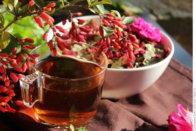 Чай из лепестков и бутонов розы эфиромасличной