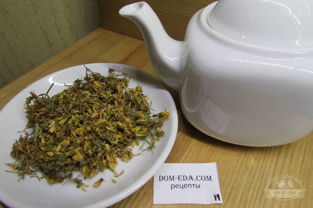 Как правильно заваривать зверобой для чая, рецепты травяных сборов, полезные свойства