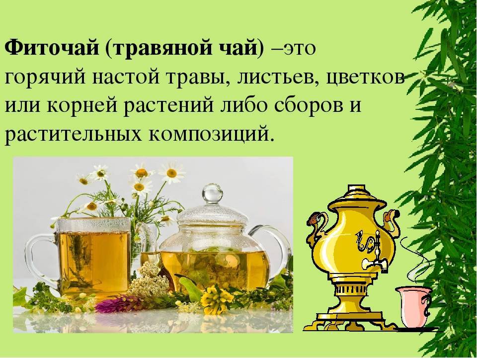 Витаминный чай из трав, рецепты приготовления