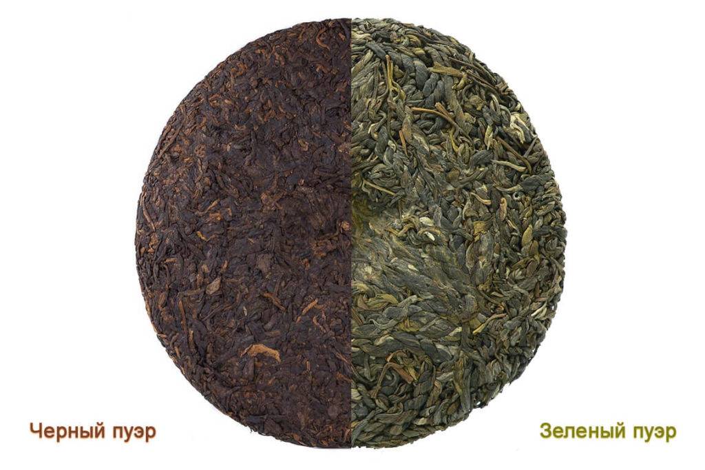 Чай пуэр – что это такое, польза и вред напитка, его виды