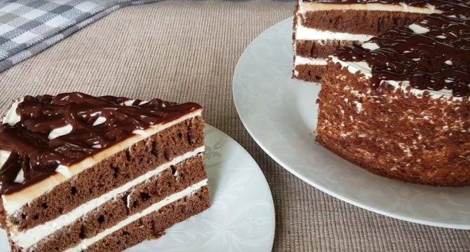 Шоколадные торты в домашних условиях: топ 10 самых вкусных и простых рецептов