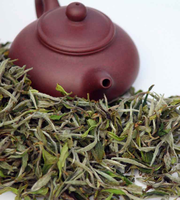 Чай бай му дань (белый пион): полезные свойства, как заваривать