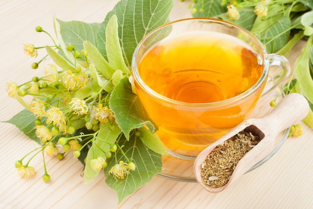 Чай из бузины полезные свойства и противопоказания • siniy-chay.ru