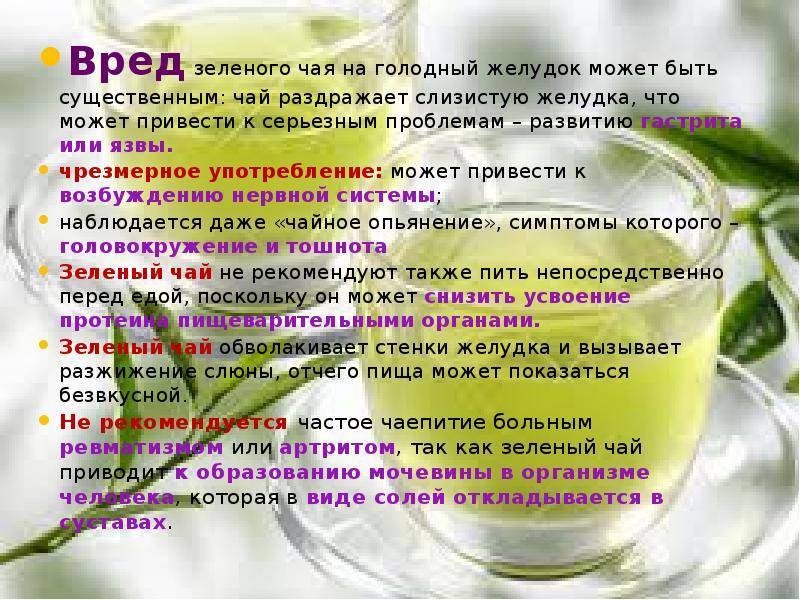 Зеленый чай польза и вред для женщин и мужчин
