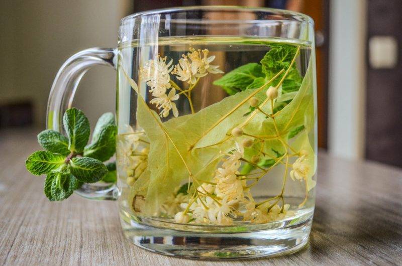 Липовый чай: полезные свойства и противопоказания, польза и вред чая из липы