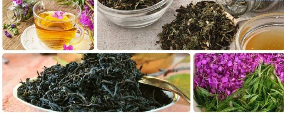 Легендарный иван-чай пути обретения женского здоровья