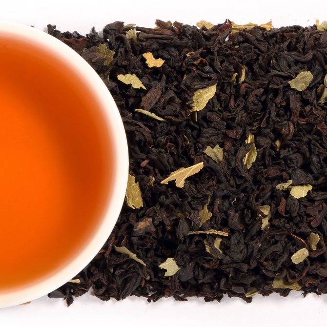 Зеленый и черный чай с саусепом: полезные свойства и фото