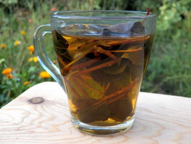 Вишневый и абрикосовый чай – как сделать настоящий чай из фруктовых листьев