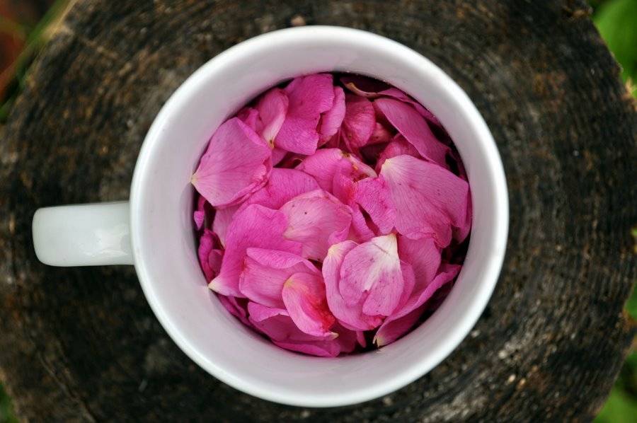 Чай из лепестков розы полезные свойства • siniy-chay.ru