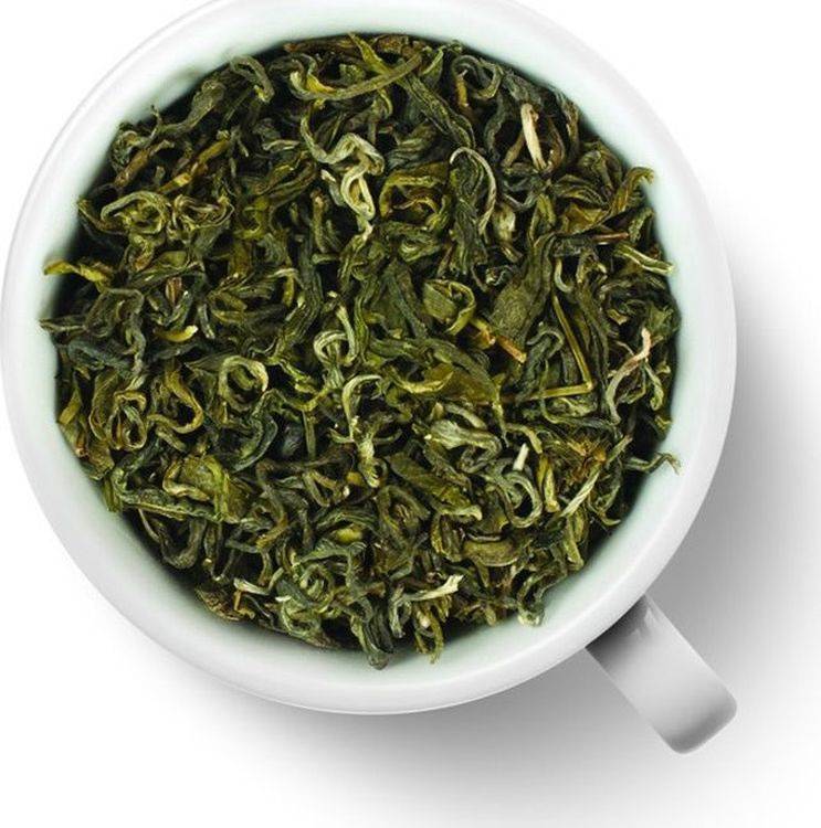 Чай БиЛоЧунь: полезные свойства и заваривание