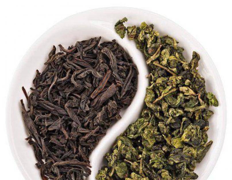 Чем отличается черный чай от зеленого и какой полезнее?