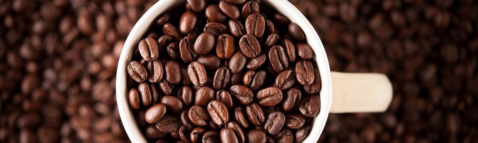 Кофе либерика - что это такое? описание сорта