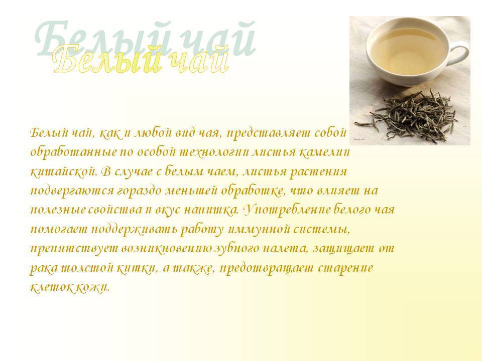 Сенча - чай. описание и полезные свойства