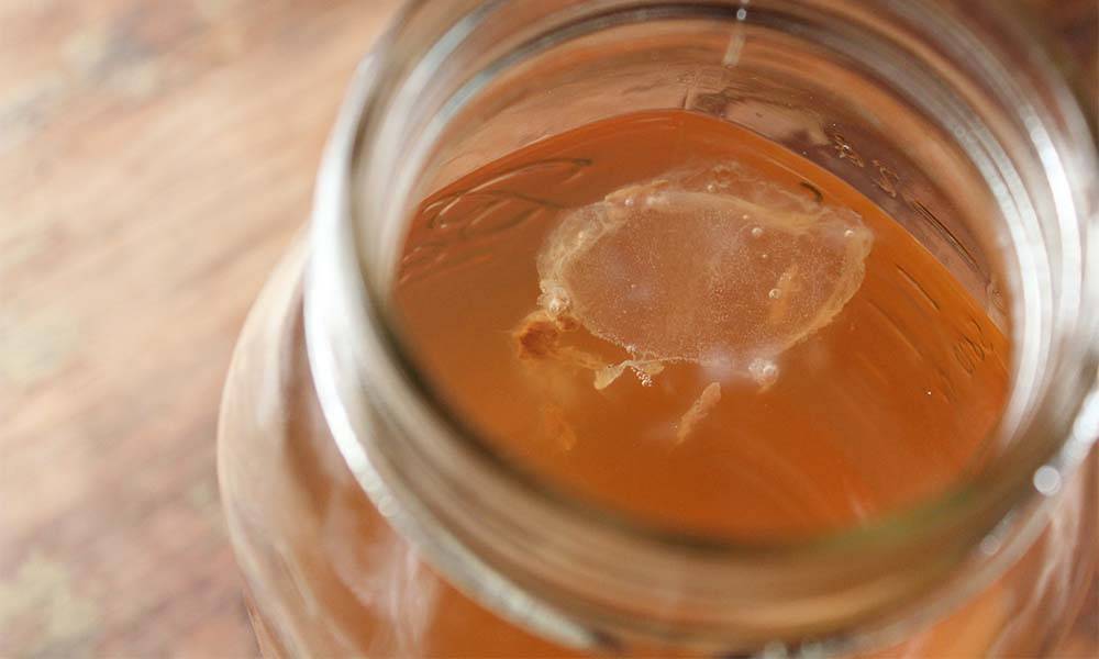 Как хранить чайный гриб в домашних условиях (в холодильнике, сушенным)