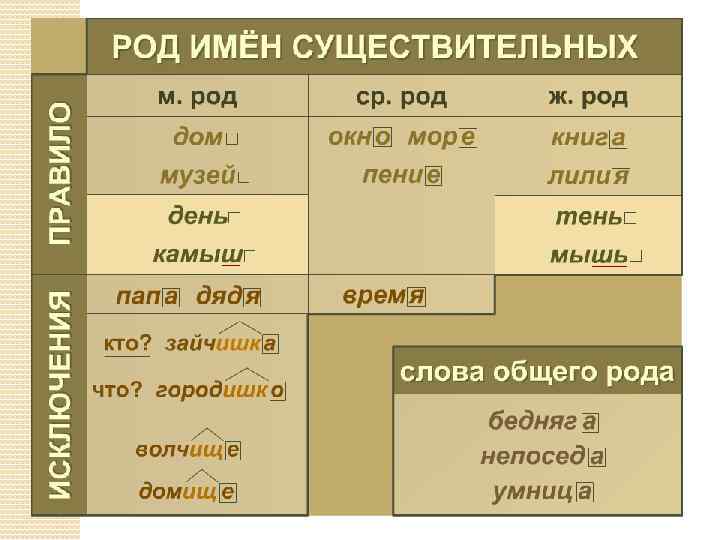 Кофе какого рода: он или оно, как правильно в русском языке, полный разбор слова