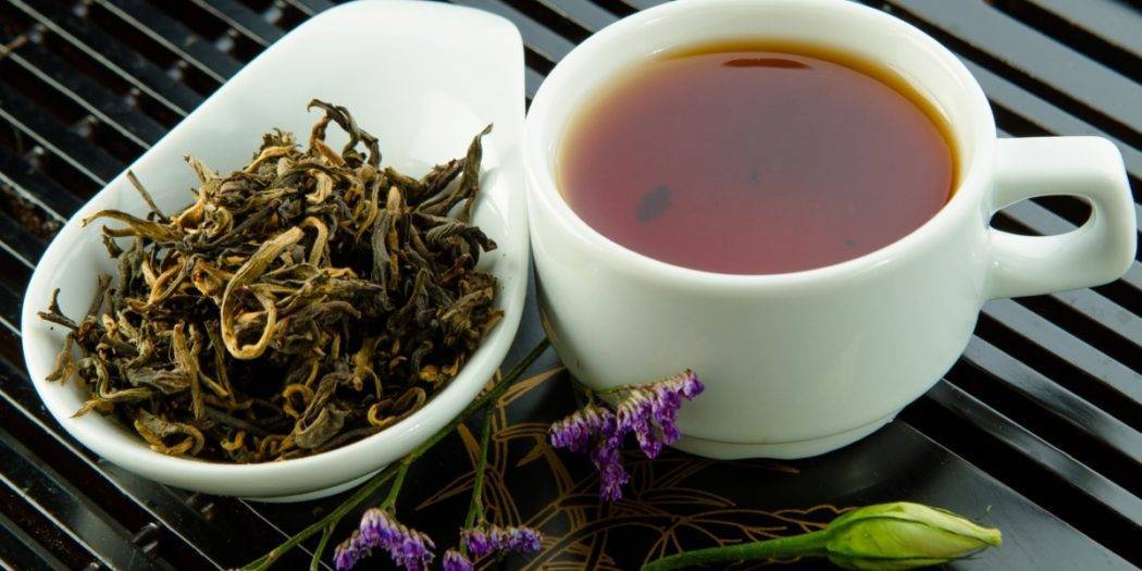 Чай кудин: польза и вред, сорта, правила выбора и хранения