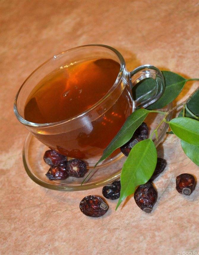 Чай из шиповника — польза и вред. как приготовить чай из шиповника?