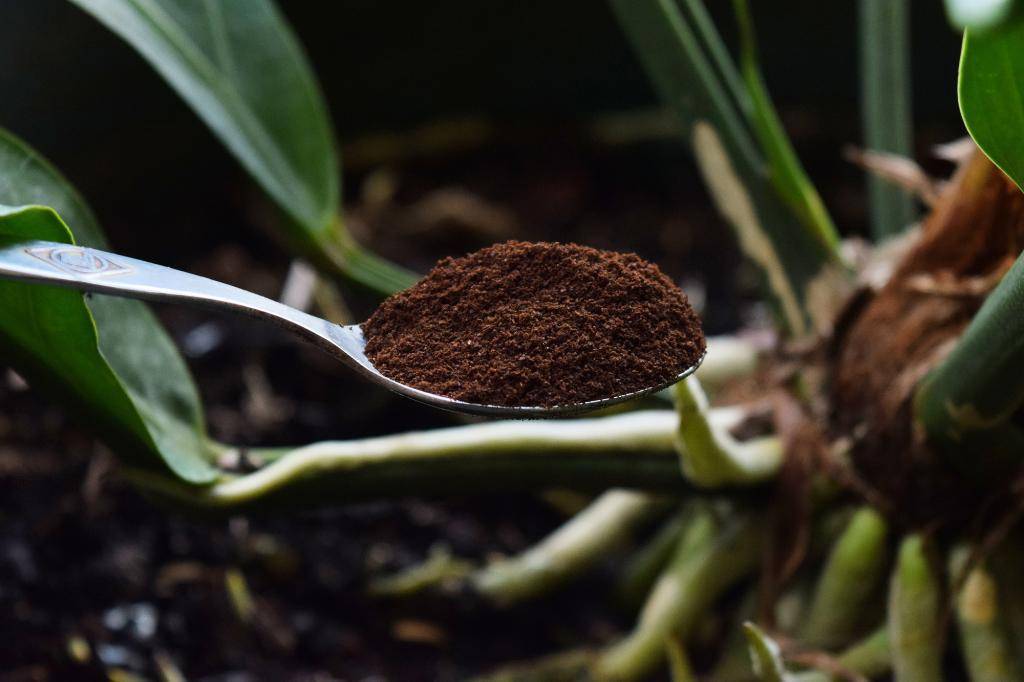 ᐉ кофейный жмых как удобрение - применение на огороде, в садоводстве, видео
