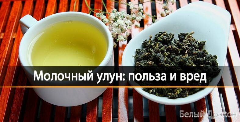 Загадочный чай улун: известны ли польза и вред этого напитка?