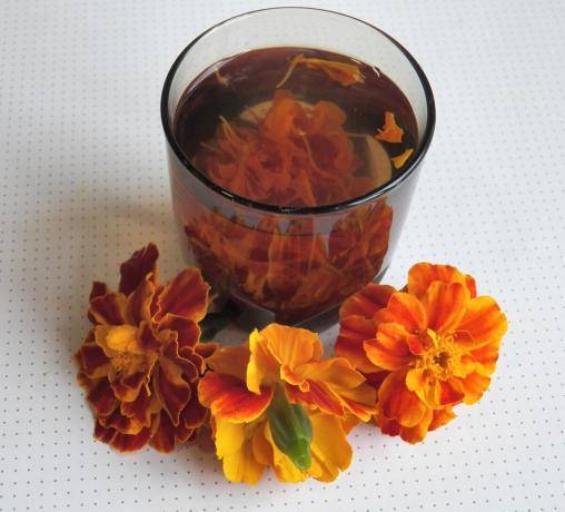 Чай из календулы — целебные свойства, показания к применению