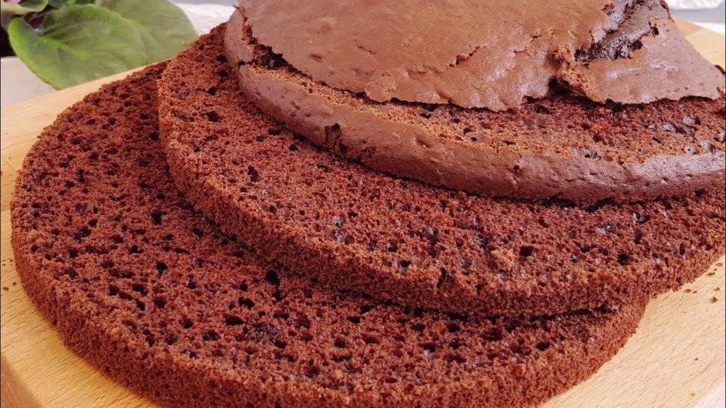 Шоколадный бисквит – 10 простых рецептов пышного бисквита для торта