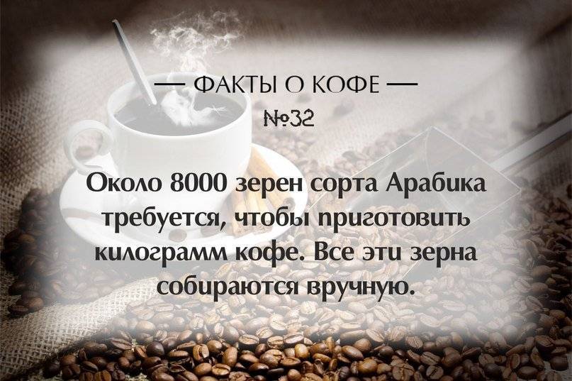 Мифы и факты о кофе