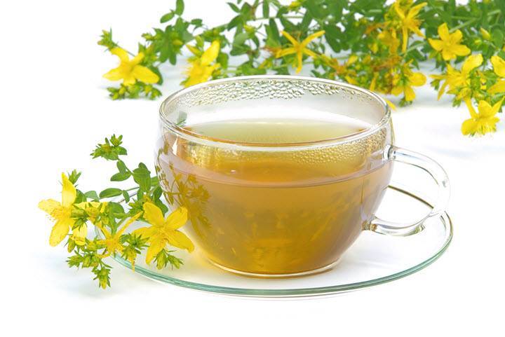 Чай из зверобоя: полезные свойства напитка и противопоказания