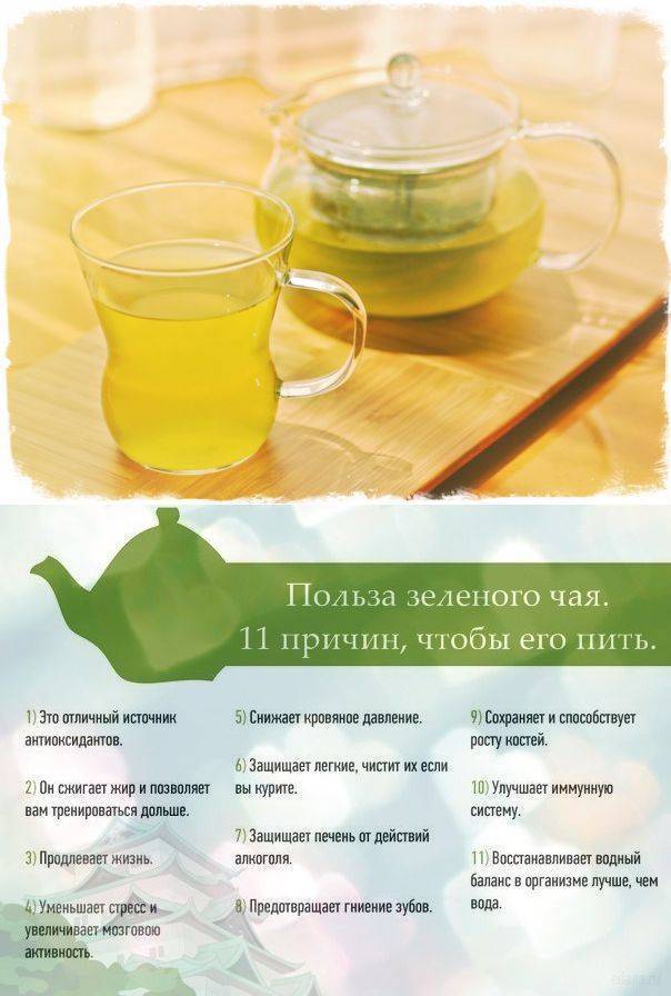 Зеленый чай для похудения – миф или правда, сколько надо пить, как пить
