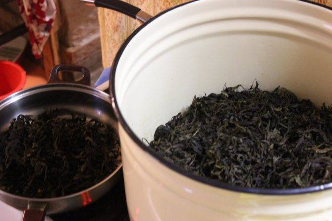 Приготовление копорского (кипрейного) чая