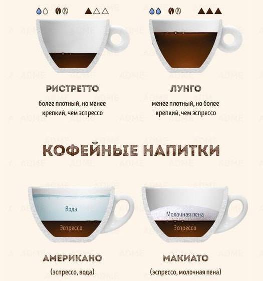 Сколько кружек кофе можно пить в день: норма напитка в сутки для взрослого человека