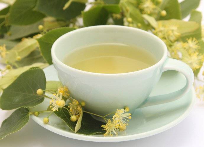 Липовый чай – лучший напиток от болезней
