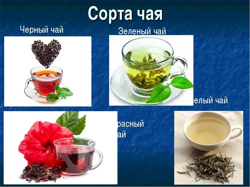 Чем отличается черный чай от зеленого и какой полезнее?