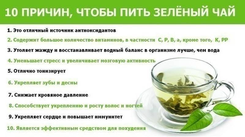 Можно ли пить на ночь зеленый чай - особенности, польза, вред и рекомендации