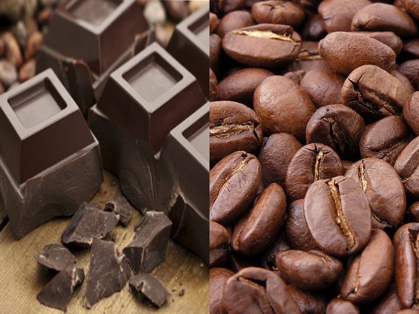 Польза вредного: зачем пить кофе и есть шоколад